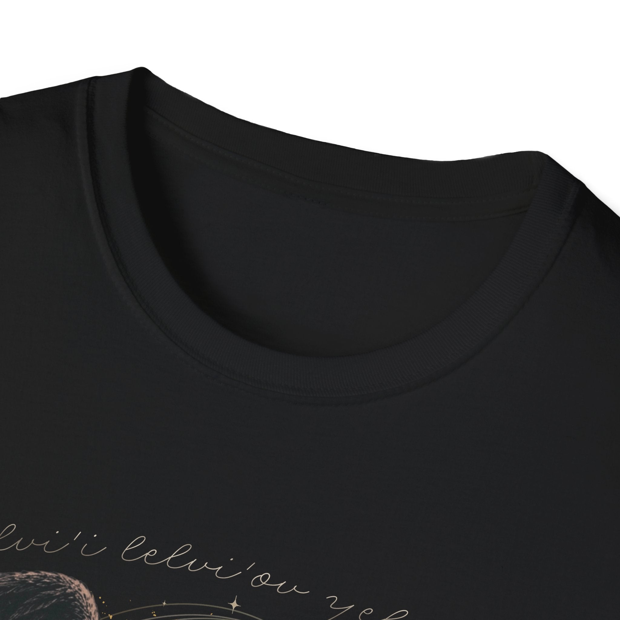 Fallen Wings Romantasy Tee